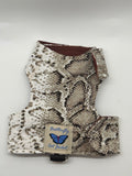 Animal Snake & Leopard Print  Designs - Original Butterfly Cat Jacket