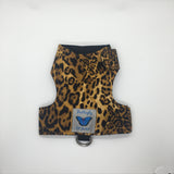 Animal Snake & Leopard Print  Designs - Original Butterfly Cat Jacket