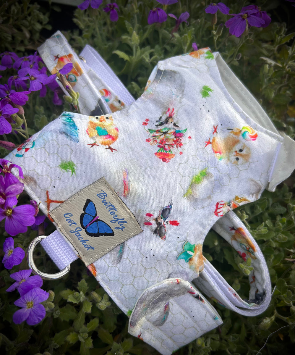 Butterfly cat jackets outlet