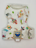 Festive Celebrations occasions - Original Butterfly Cat Jacket