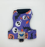 Festive Celebrations occasions - Original Butterfly Cat Jacket