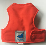 Kitten Clearance - Original Butterfly Cat Jacket