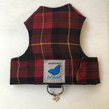 Kitten Clearance - Original Butterfly Cat Jacket