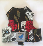 Kitten Clearance - Original Butterfly Cat Jacket