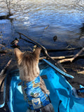 Animal Fox Duck Fish