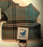 Kitten Clearance - Original Butterfly Cat Jacket