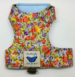 Kitten Clearance - Original Butterfly Cat Jacket