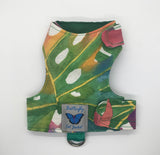 Kitten Clearance - Original Butterfly Cat Jacket