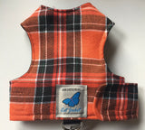 Kitten Clearance - Original Butterfly Cat Jacket