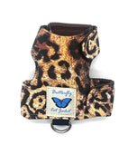 Kitten Clearance - Original Butterfly Cat Jacket