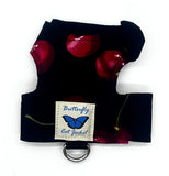 Kitten Clearance - Original Butterfly Cat Jacket