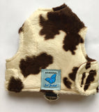 Kitten Clearance - Original Butterfly Cat Jacket