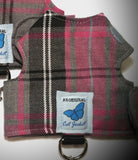 Kitten Clearance - Original Butterfly Cat Jacket