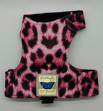 Kitten Clearance - Original Butterfly Cat Jacket