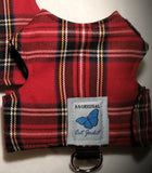 Kitten Clearance - Original Butterfly Cat Jacket