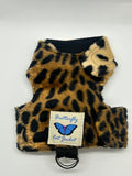 Kitten Clearance - Original Butterfly Cat Jacket
